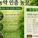 건강나라산삼농장
