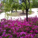 만보약국 이미지