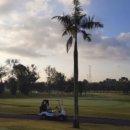 이글골프 이미지