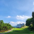 오르막구이점 | 소노팰리체cc,델피노 아웃코스 공략 팁& 8월 라운드 후기