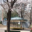 동수원초등학교 이미지