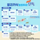 [필리핀/보홀] 내돈내산 보홀스케치 단독 투어 후기 모음(고래상어&amp;나팔링|발리카삭 호핑|육상투어)