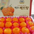 연희농장 이미지