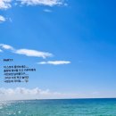 DQ24시 | [나의결혼/신혼여행(몰디브🏝) ] 6탄 마지막 🎀 5박7일 스토리 (디구라리조트,꿀팁,팔루마푸시,식당,코...