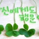 오늘은짬뽕 - 하남시 미사강변동로 95 | 오늘은짬뽕