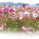 농업농촌테마마을 이미지