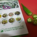 아삽야콘농원 이미지