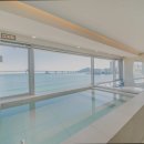 리벤시아 이미지