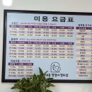 애견멀티샵 이미지