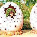 칠  곡 이미지
