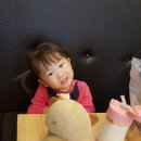 빛누리 태권도장 이미지