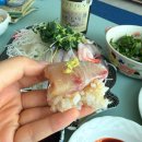 수원-0369 | 줄전갱이 맛집 "꽃피는바다" 수원시농수산물도매시장 찐후기(할인, 광어깻잎무침, 소금김밥)