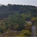 갤럭시부동산중개 이미지