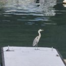 금남체육공원 이미지