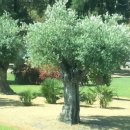 최원영농장 이미지