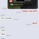 퍼피클럽 이미지