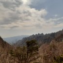더탑컨설팅 네이버블로그