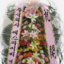 에스와이씨
