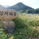 양지교 이미지