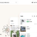 당근pc 이미지