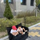어반짐 | [어반콘트리트] 1년 실 사용후기, 아기 웨건, 짐나르기에 딱 좋은 장단점 확실한 리뷰
