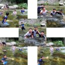 베스트태권스쿨 이미지