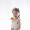 시그널스튜디오김해
