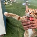 상윤목장 이미지