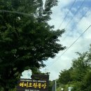 초원목장B | 춘천 여행 : 한국의 스위스라고 불리는 해피초원목장 상세후기♥ / 입장료, 포토존 가는 법
