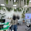 반려식물(홈가드닝) | 북서울꿈의숲 정원문화힐링센터 홈가드닝 - 반려식물 그레빌리아, 아이비