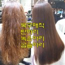 권헤어살롱 이미지