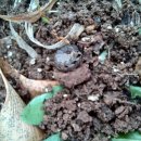 뽑기 좋은날 이미지