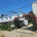 동미산펜션 | 제부도가족펜션 수도권 한시간 거리에서 다녀온 가성비 끝판왕, 동미산펜션 203호 후기