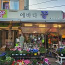 에바다헤어 네이버블로그