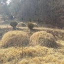 광산구-127 이미지