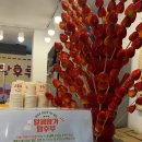 [안양] 범계역 “왕가탕후루” 파인애플 탕후루 내돈내산 왕 비추후기 🥶