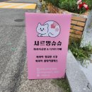 시루봉사우나 이미지