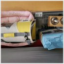 펫365 강아지분양 고양이분양 전주본점 | 전주에서의 행복한 만남, 펫365 강아지 분양 후기^^!