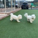 밸리 펜션 이미지