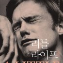 리틀필 이미지