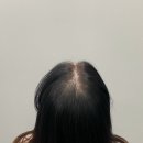 더그리다 이미지