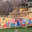 젤리베어 홀리데이 이미지