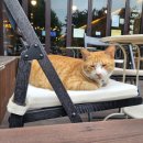 김상후이비인후과의원 이미지