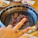 싱싱포크 이미지