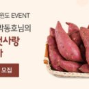 푸드윈 이미지