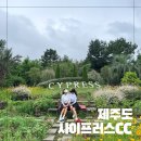 사이프러스 - 강서구 공항대로2길 36 | 제주도라운딩 추천 사이프러스CC 라운딩후기
