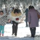 고드름축제장 이미지