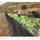 동서농장 이미지