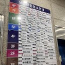 짧은 기록 : 20260427 상동 나비드브로우 눈썹 문신 후기