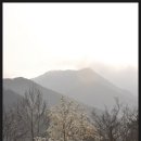 우슬재황토촌 Daum카페